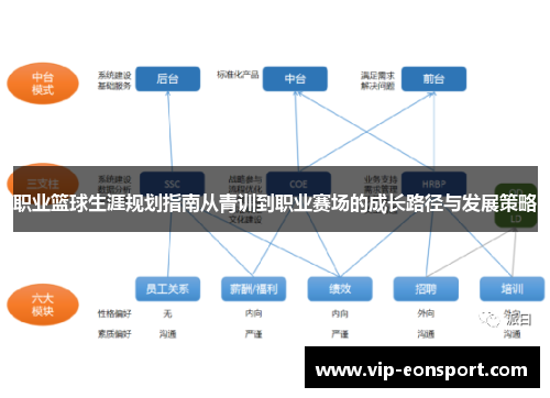 职业篮球生涯规划指南从青训到职业赛场的成长路径与发展策略
