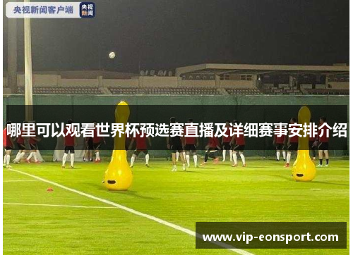 哪里可以观看世界杯预选赛直播及详细赛事安排介绍 哪里可以观看世界杯预选赛直播及详细赛事安排介绍