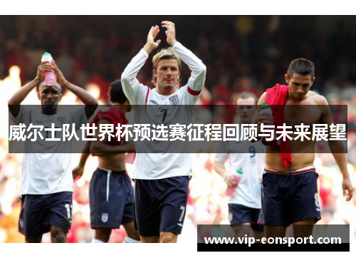 威尔士队世界杯预选赛征程回顾与未来展望 威尔士队世界杯预选赛征程回顾与未来展望