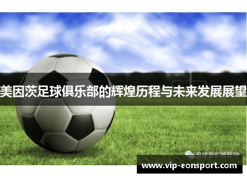 美因茨足球俱乐部的辉煌历程与未来发展展望 美因茨足球俱乐部的辉煌历程与未来发展展望