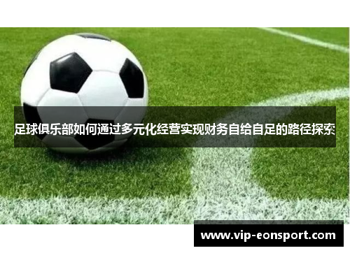 足球俱乐部如何通过多元化经营实现财务自给自足的路径探索