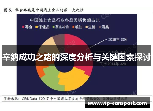 辛纳成功之路的深度分析与关键因素探讨 辛纳成功之路的深度分析与关键因素探讨