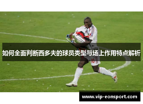 如何全面判断西多夫的球员类型与场上作用特点解析 如何全面判断西多夫的球员类型与场上作用特点解析