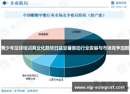 青少年足球培训商业化趋势日益显著推动行业发展与市场竞争加剧