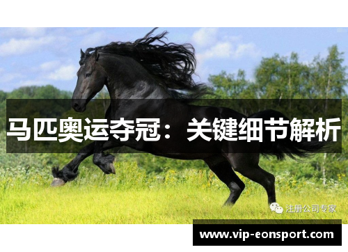 马匹奥运夺冠:关键细节解析 马匹奥运夺冠:关键细节解析