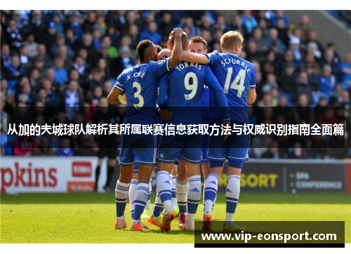 从加的夫城球队解析其所属联赛信息获取方法与权威识别指南全面篇